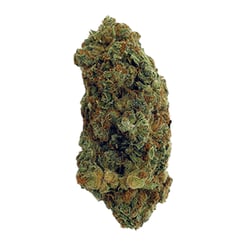 Curaleaf® GBD T1:C14 God Bud CBD