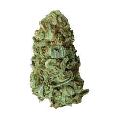 Grow® Pharma T16 Herijuana