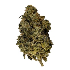 Grow® Pharma T20 Hellfire OG