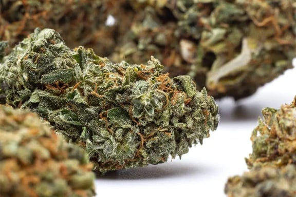 best weed strains fibromyalgia